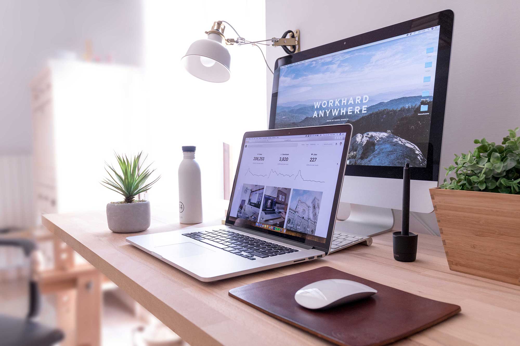Discover a clean and modern WordPress theme designed to showcase your content beautifully